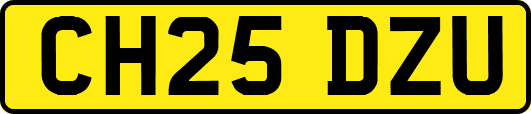 CH25DZU
