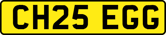 CH25EGG