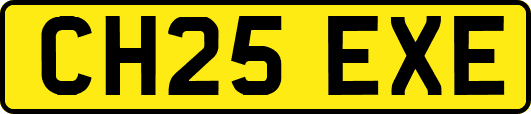 CH25EXE