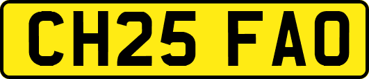 CH25FAO