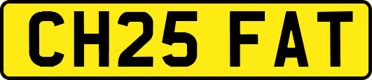 CH25FAT