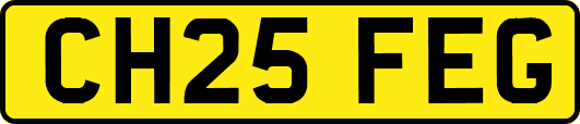 CH25FEG