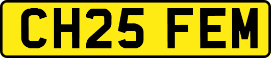 CH25FEM