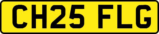 CH25FLG