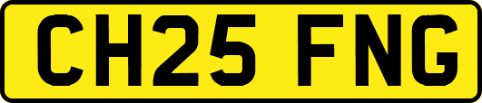 CH25FNG