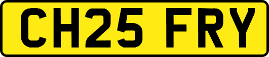 CH25FRY