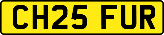 CH25FUR