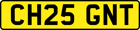 CH25GNT