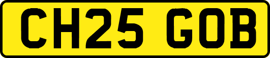 CH25GOB