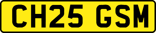 CH25GSM
