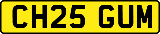 CH25GUM