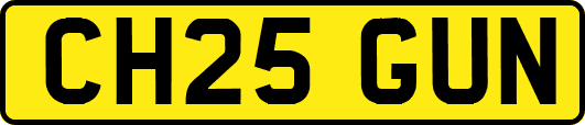 CH25GUN