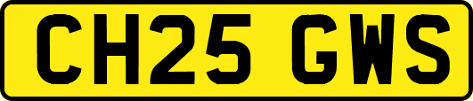 CH25GWS