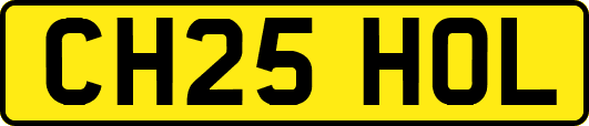 CH25HOL