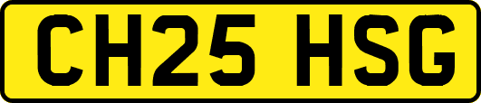 CH25HSG