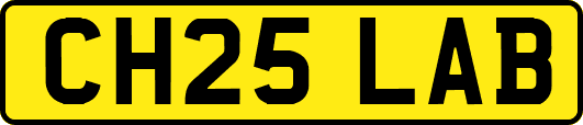 CH25LAB