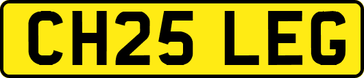 CH25LEG