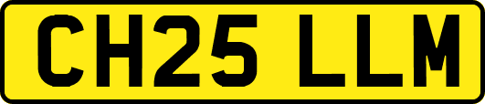 CH25LLM