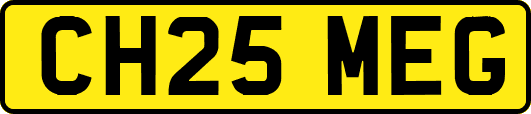 CH25MEG