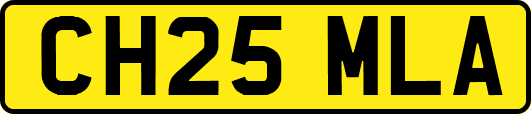 CH25MLA