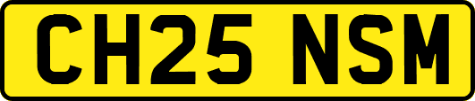 CH25NSM