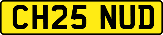CH25NUD