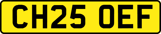 CH25OEF