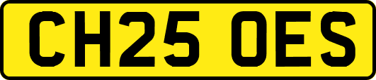 CH25OES