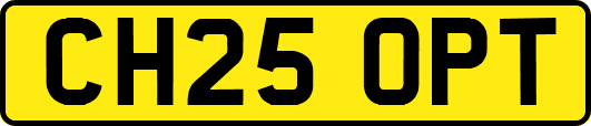 CH25OPT