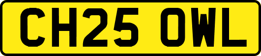 CH25OWL