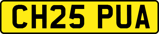 CH25PUA