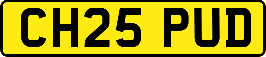 CH25PUD