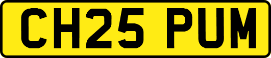 CH25PUM