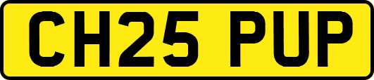 CH25PUP