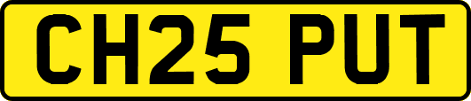 CH25PUT