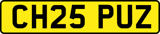 CH25PUZ