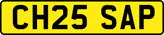 CH25SAP