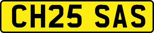 CH25SAS