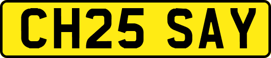CH25SAY