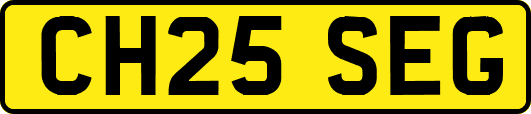 CH25SEG