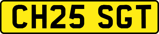 CH25SGT
