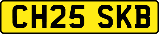 CH25SKB