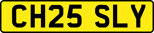 CH25SLY