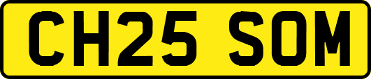 CH25SOM