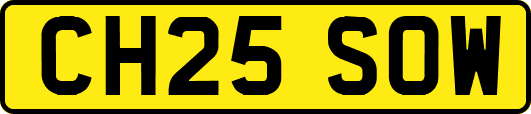 CH25SOW