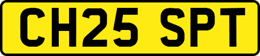 CH25SPT