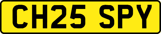 CH25SPY