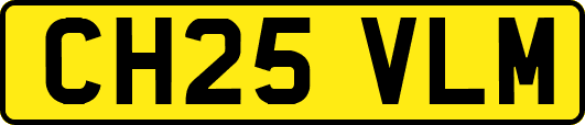 CH25VLM