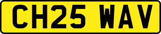 CH25WAV