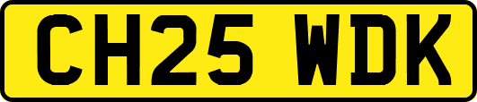 CH25WDK